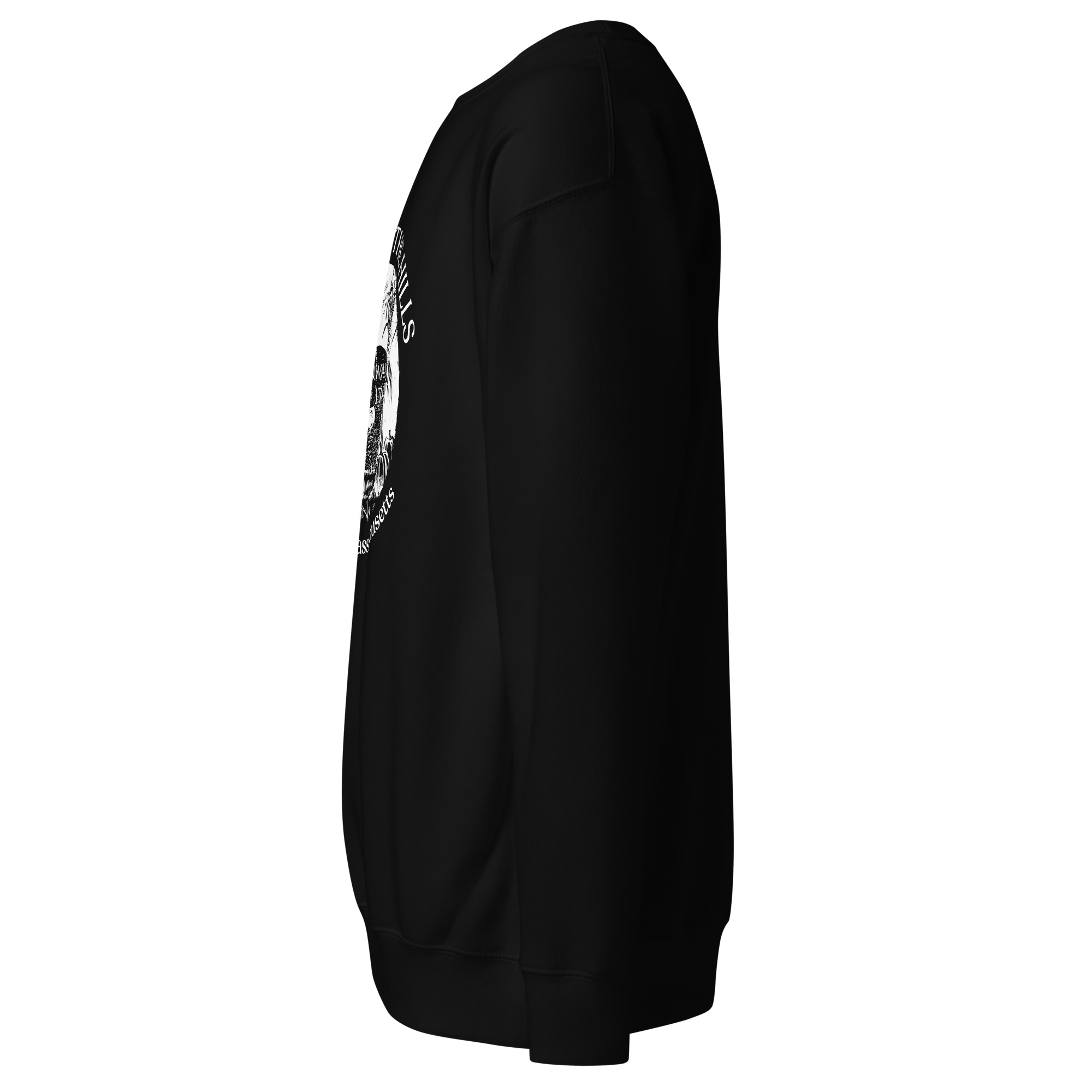 Unisex Premium Millstone Sweatshirt - Image 10